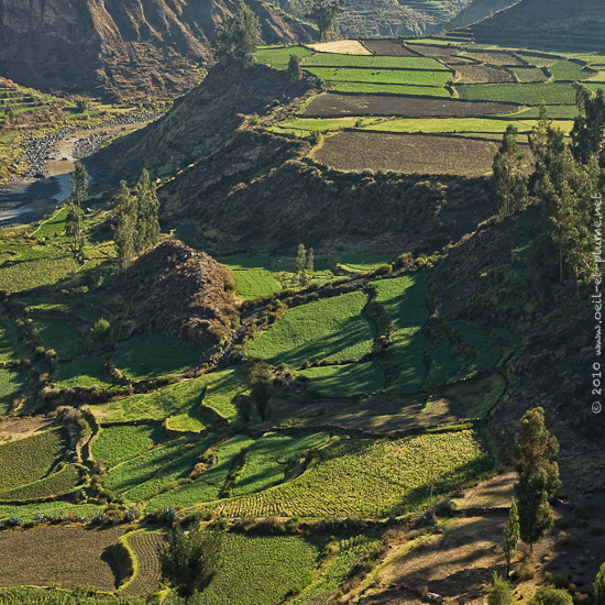 02 Colca 2009