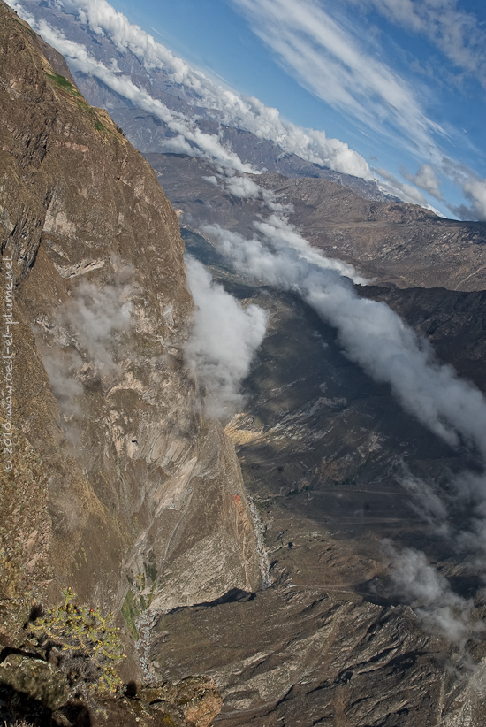 03 Colca 2009