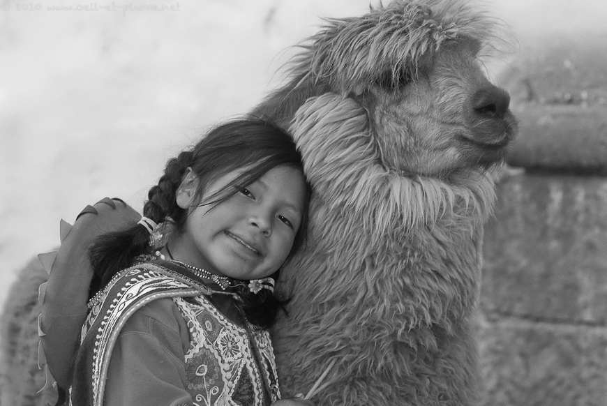 03 Cuzco 2009