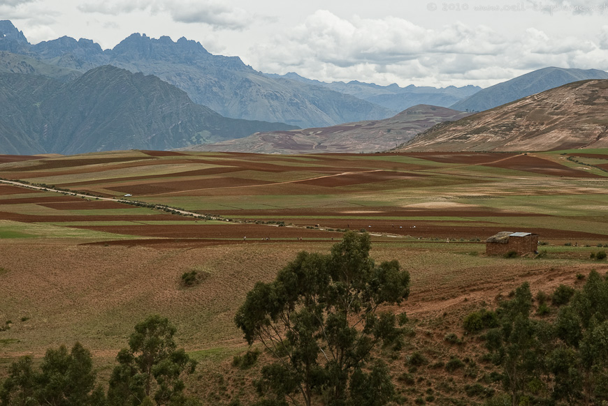 05 Cuzco 2009