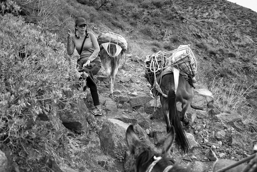 06 Colca 2009