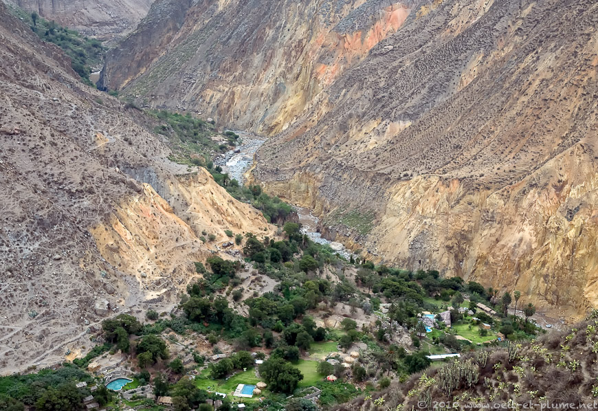 10 Colca 2009