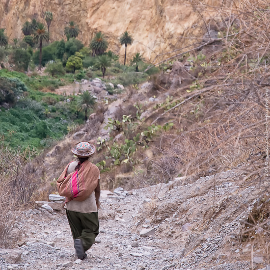 11 Colca 2009