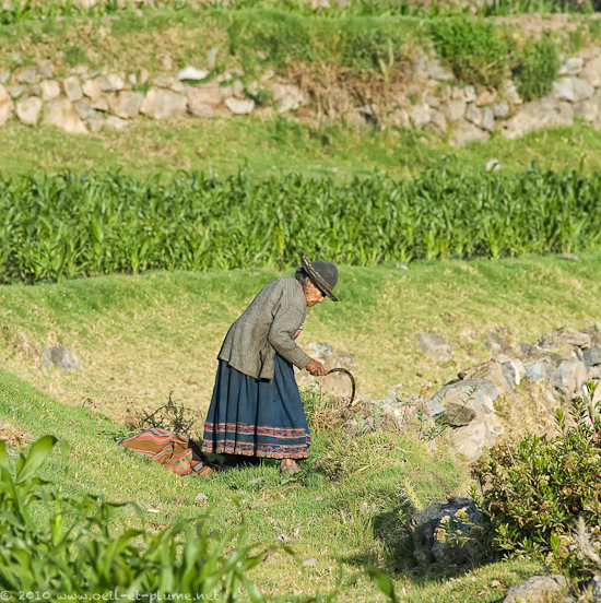 14 Colca 2009