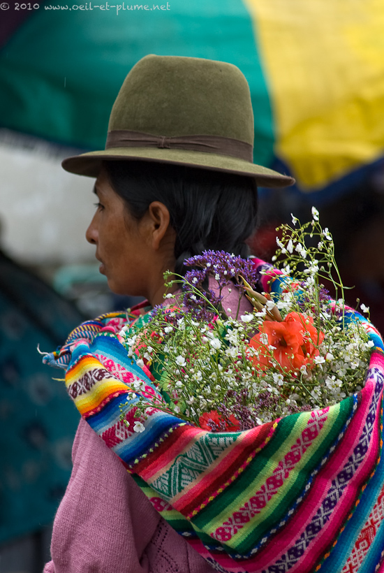 14 Cuzco 2009