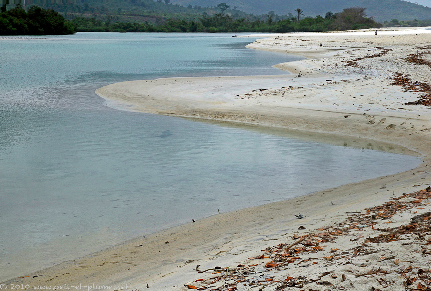 05 Sierra Leone Joyau