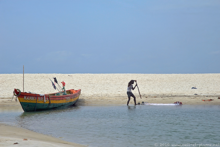 11 Sierra Leone Joyau