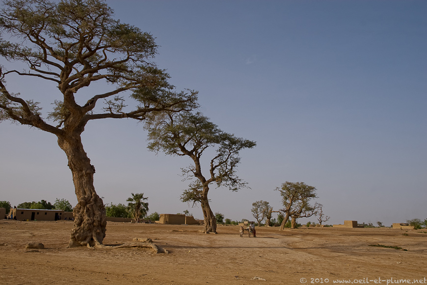 11 Ségou 2009