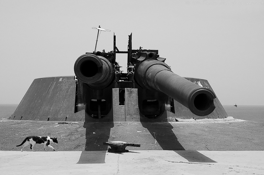 06 Gorée 2009