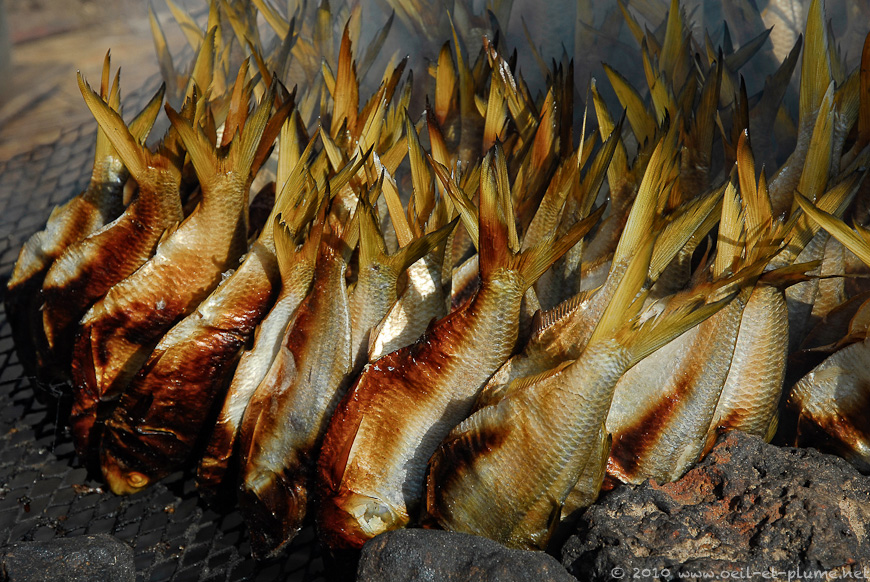 01 Poisson braisé 2010