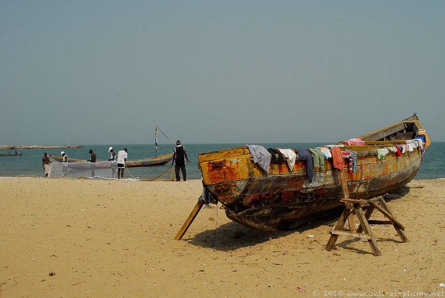 This image has an empty alt attribute; its file name is 14-Poisson-braise-2010.jpg