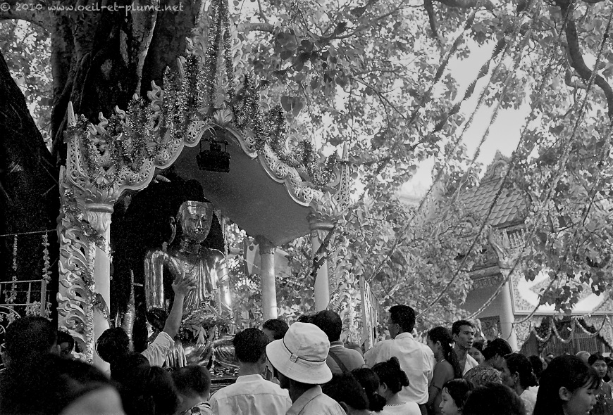 02 Colombe 2003-04