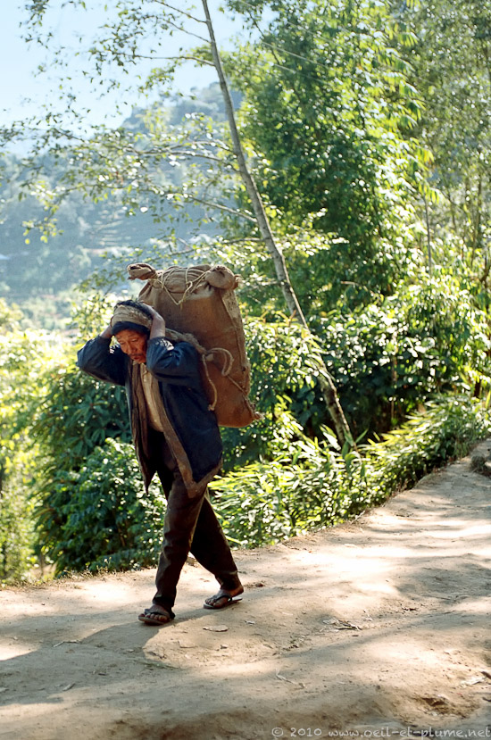 02 Darjeeling 2004