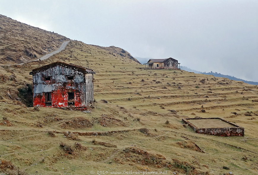 05 Darjeeling 2004