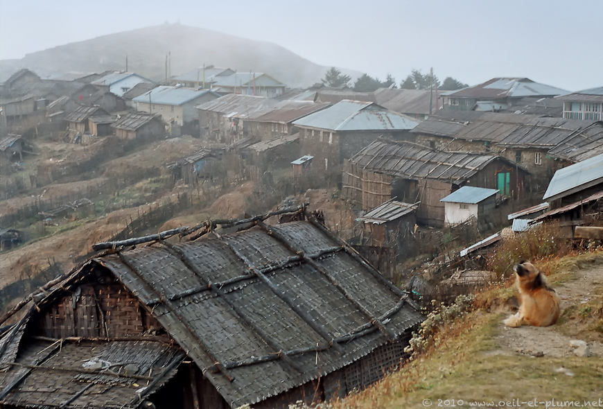 06 Darjeeling 2004