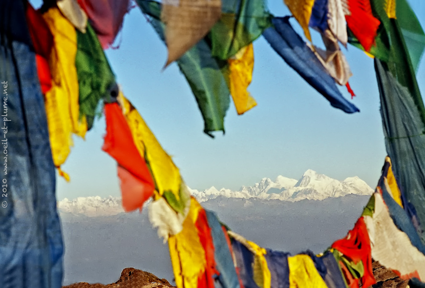 11 Darjeeling 2004