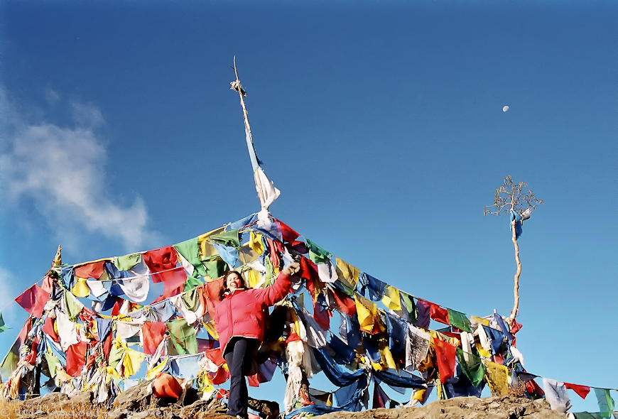 12 Darjeeling 2004