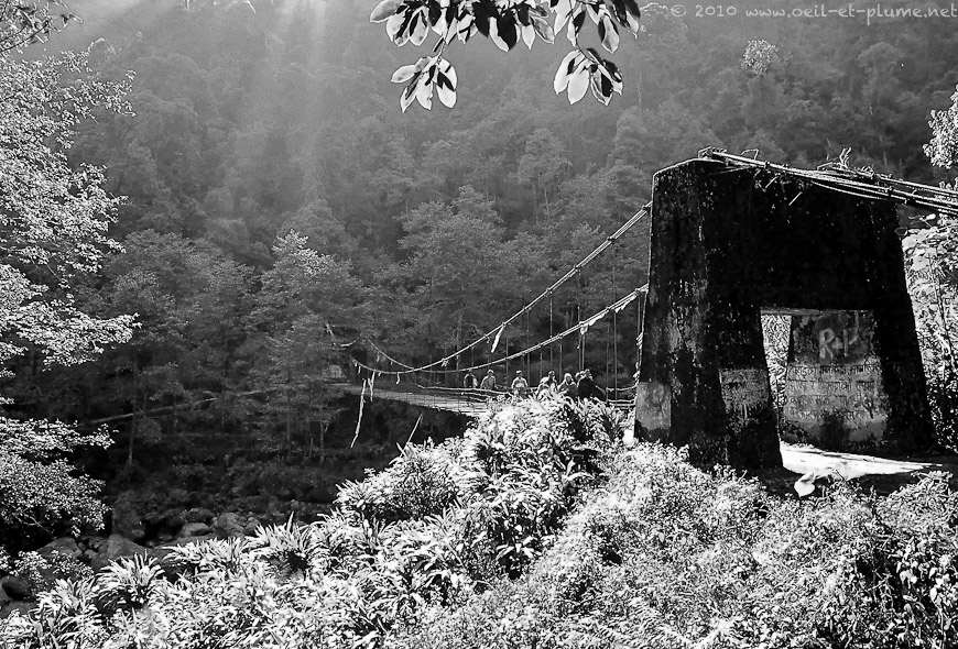 13 Darjeeling 2004