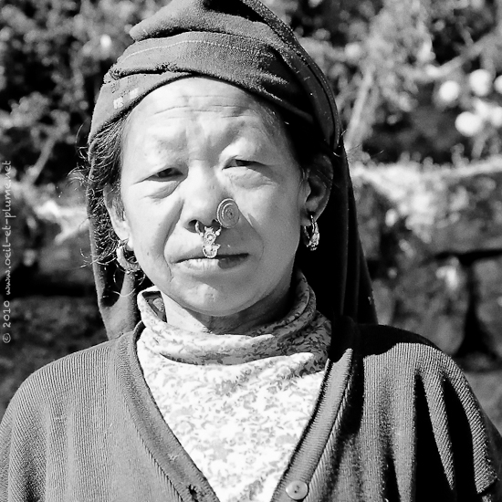 14 Darjeeling 2004
