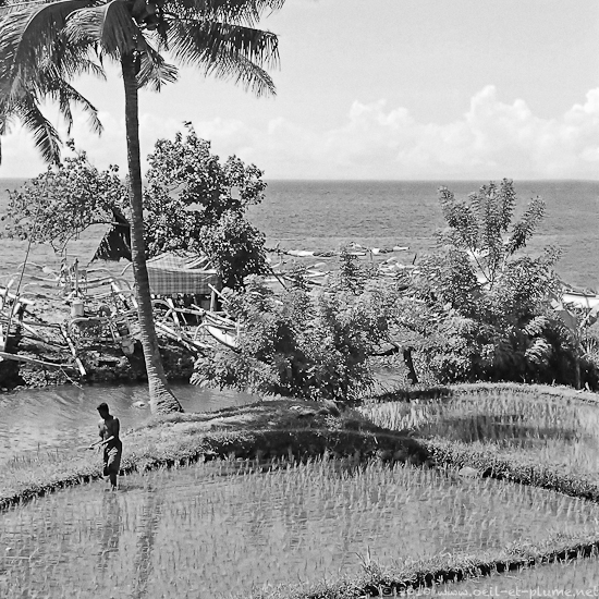 06 Bali 2005