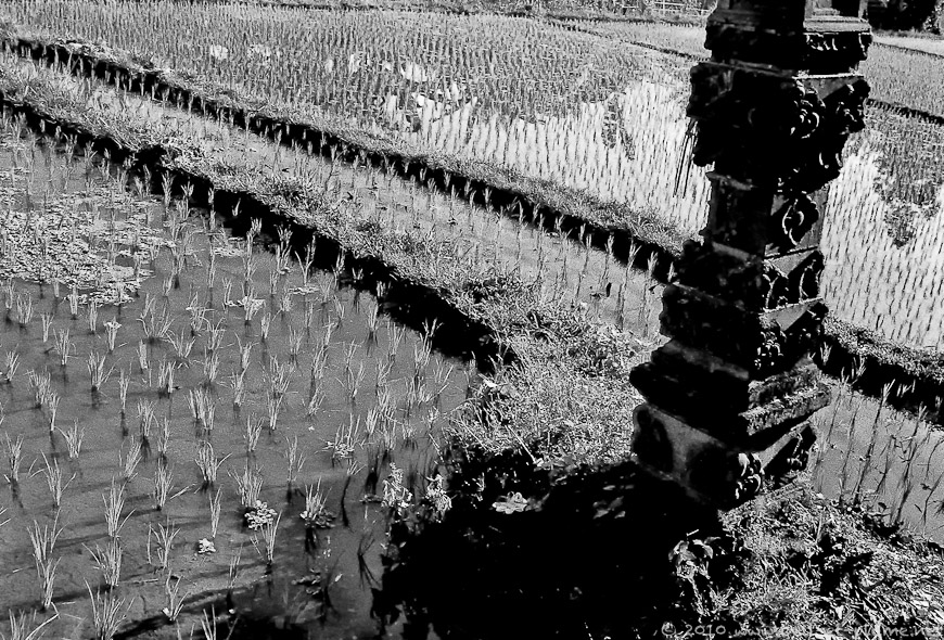 07 Bali 2005