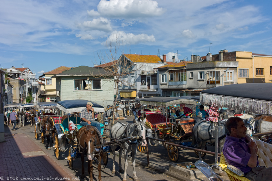 07 Istanbul Prince 2012