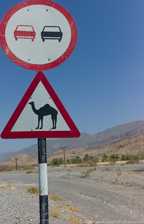 01 Oman Desert 2012