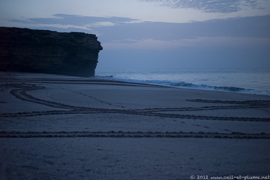 01 Oman Sea 2012