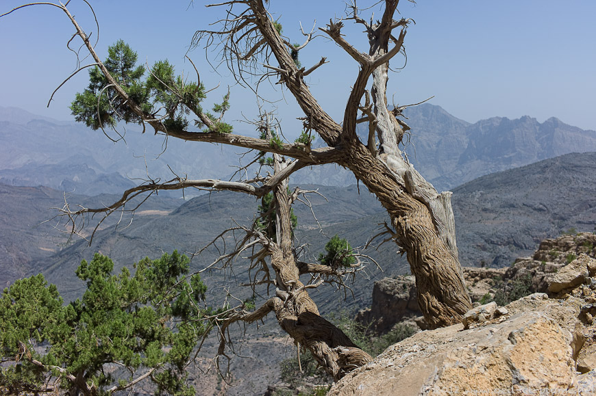 06 Oman Mountain 2012