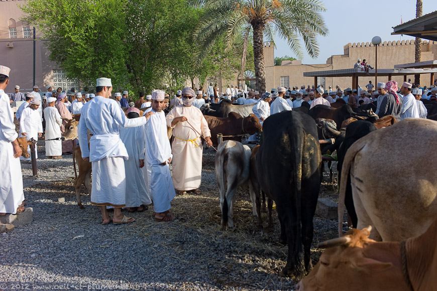 06 Oman People 2012