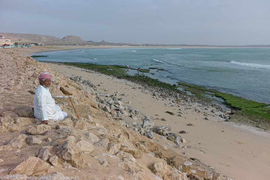 06 Oman Sea 2012