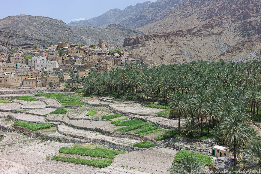 07 Oman Mountain 2012