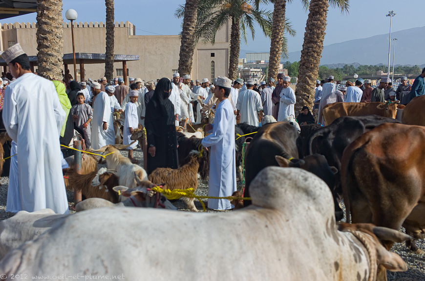 07 Oman People 2012