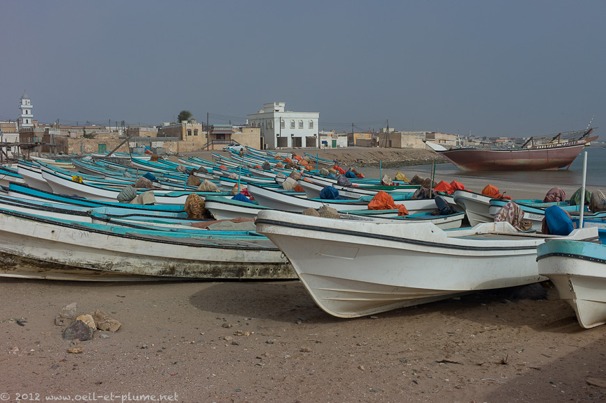 07 Oman Sea 2012