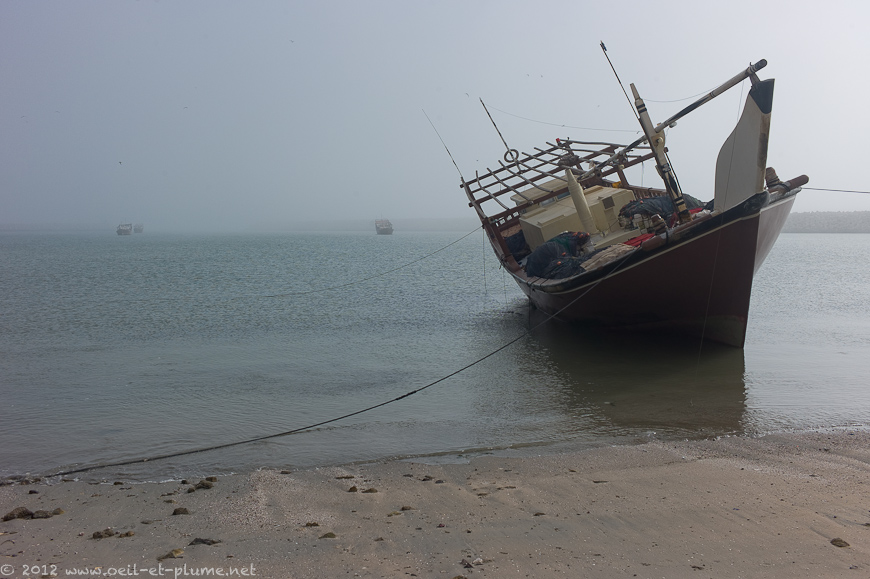 08 Oman Sea 2012