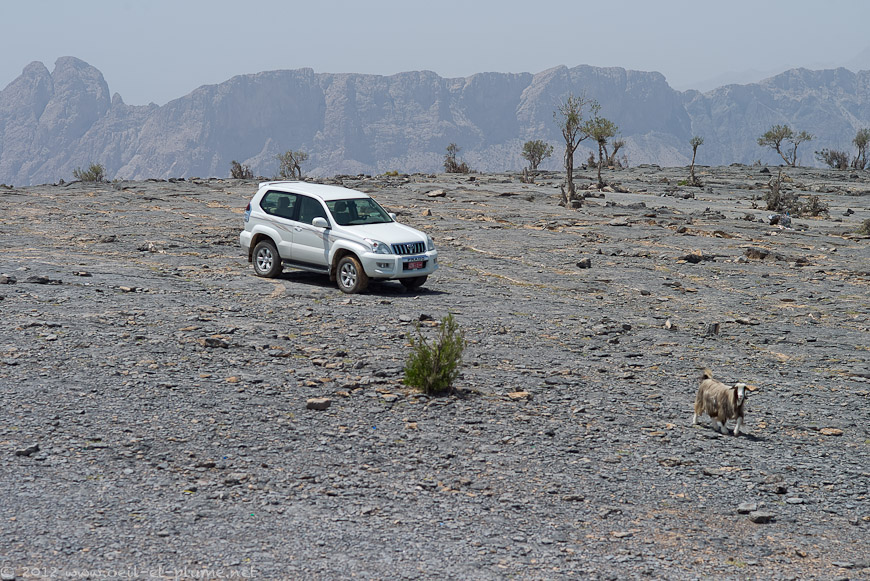 09 Oman Mountain 2012