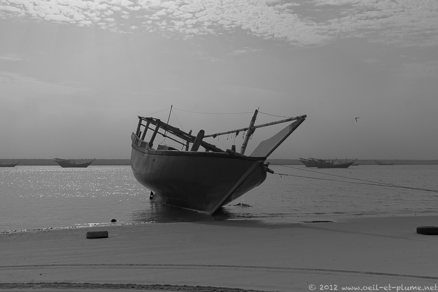 09 Oman Sea 2012