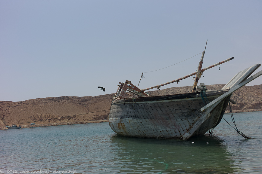 10 Oman Sea 2012