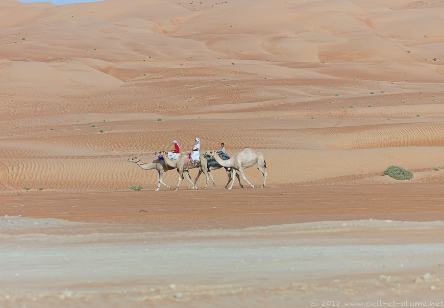 11 Oman Desert 2012