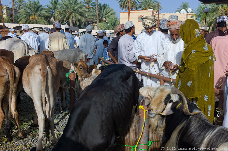 11 Oman People 2012