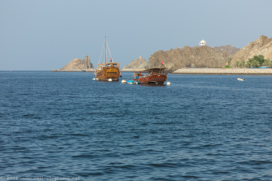 13 Oman Sea 2012