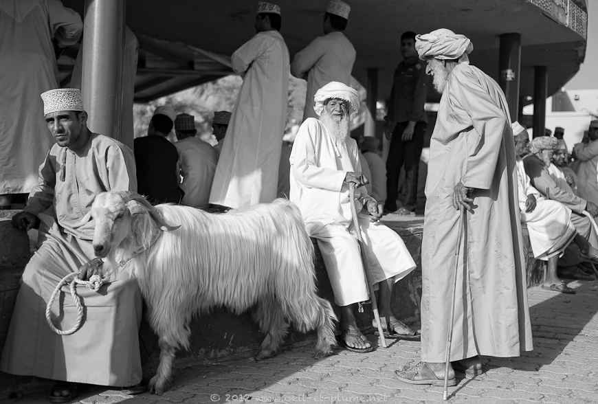 14 Oman People 2012