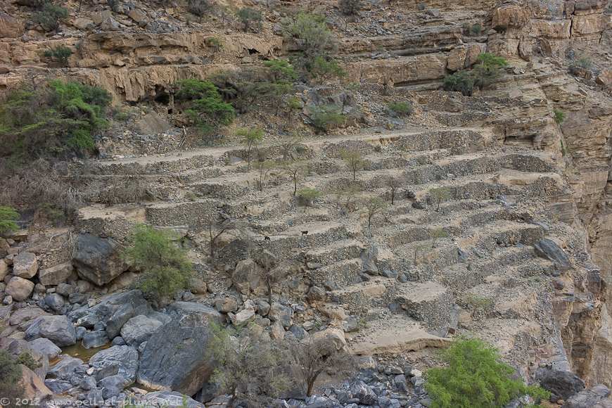 15 Oman Mountain 2012