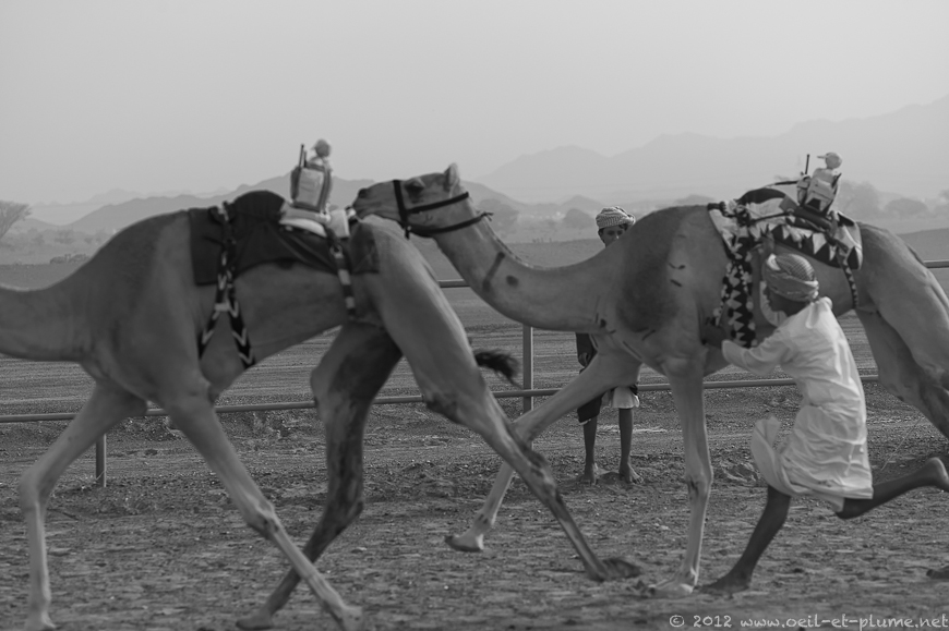 18 Oman Desert 2012