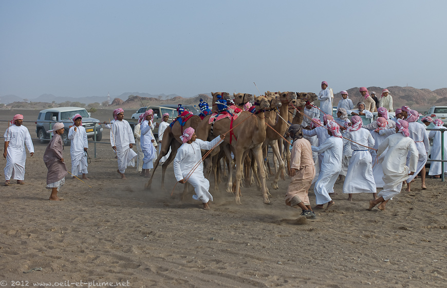 19 Oman Desert 2012