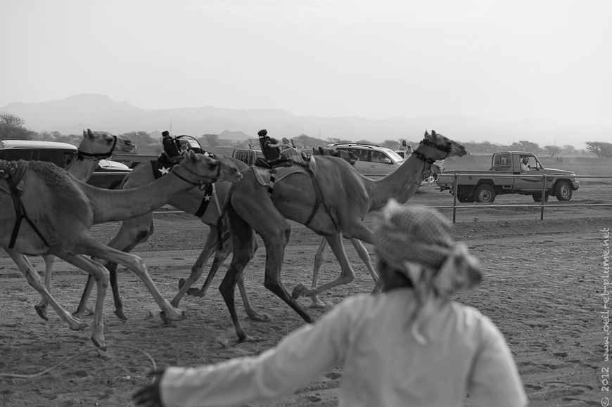 20 Oman Desert 2012