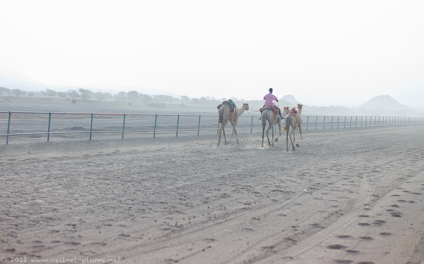 21 Oman Desert 2012