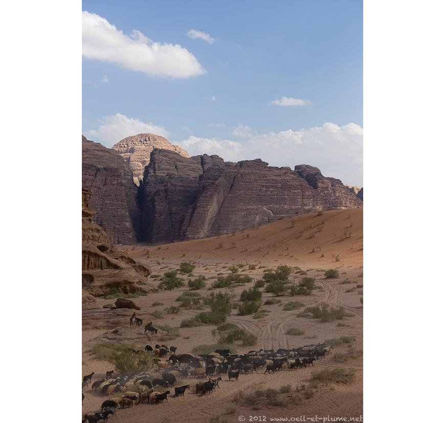 04 Salem Wadi Rum