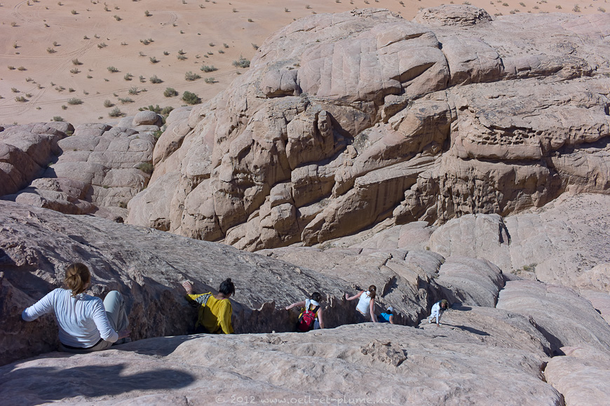 12 Salem Wadi Rum