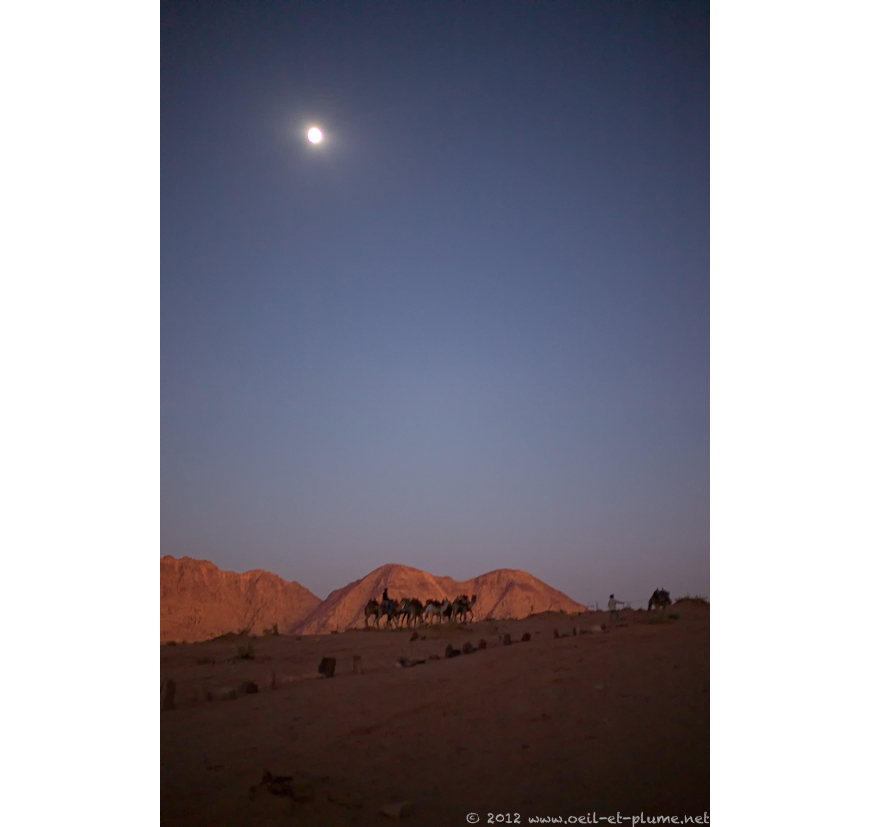 17 Salem Wadi Rum